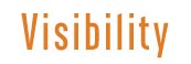 the visibility logo